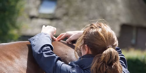 EGAS Vet Course 2026: Equine Gait Analysis