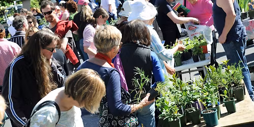 May Plant Sale