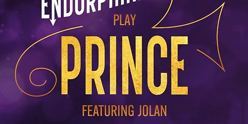 Prince Tribute EndorphinMachine