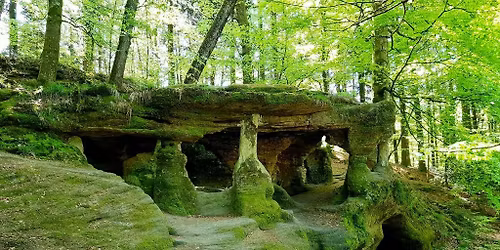 Rejoignez notre Cursus au Cœur des Tradition Ancestrales