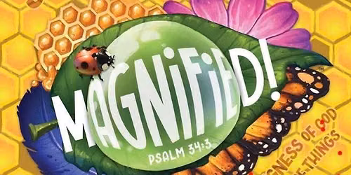 Magnified VBS