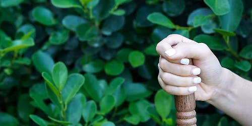 The Quiet Hour - Soundbath