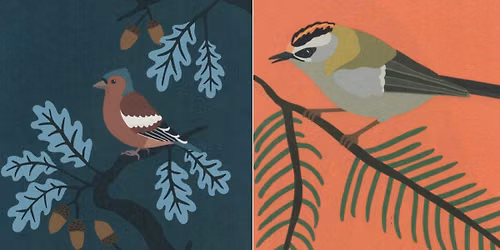 Le Samedi des Oiseaux #3