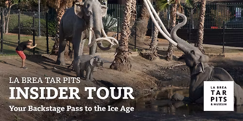 La Brea Tar Pits Insider Tour