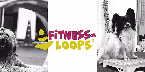 Fitness-Loops Workshop f\u00fcr Anf\u00e4nger und leicht Fortgeschrittene
