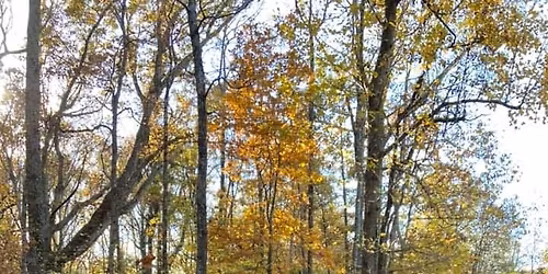 Pioneer Prairie Camp