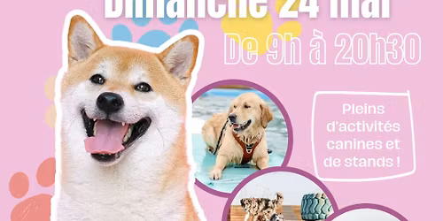 Portes ouvertes du doogo club 2026