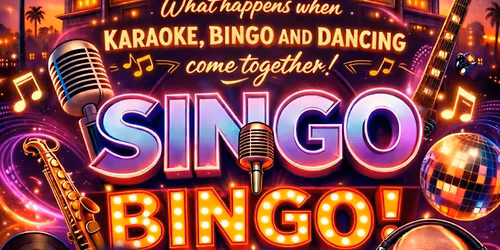 Singo Bingo 