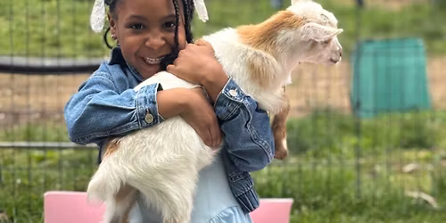 Baby Goat Yoga