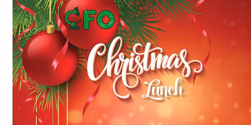 CFO Julefrokost 2025