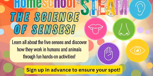 Homeschool STEAM: The Science of Senses!