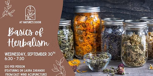 Basics of Herbalism