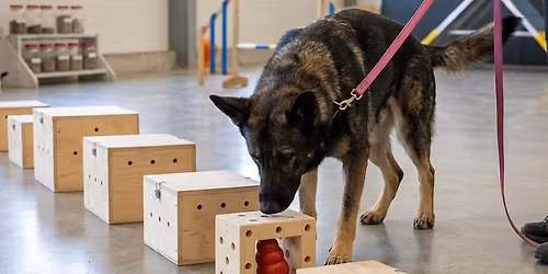 Kurs i Spesials\u00f8k - P\u00e5 Sotra. Kun 2 ledige plasser!