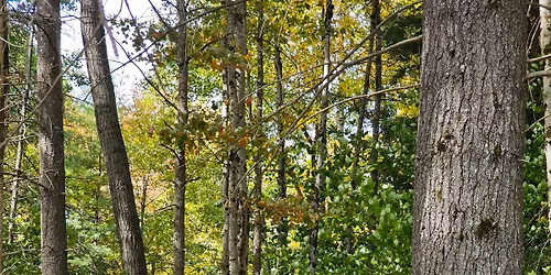 Allegany Mountain Saddlery fitting