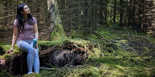 Forest Bathing at Sutton Bank