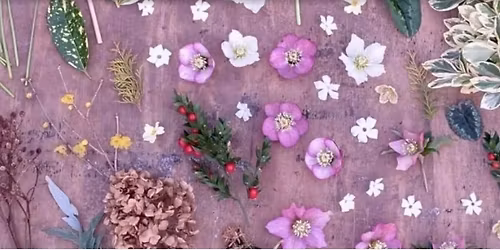 Great Dixter Spring Plant Fair 