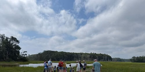 Family Nature Walks: Mummichugs and Marsh Muck