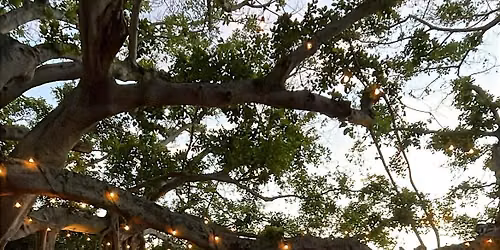 Blue Mind Reset+ sound bath with social and herbal tea
