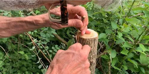 Grafting Pear Trees with Richard Herman