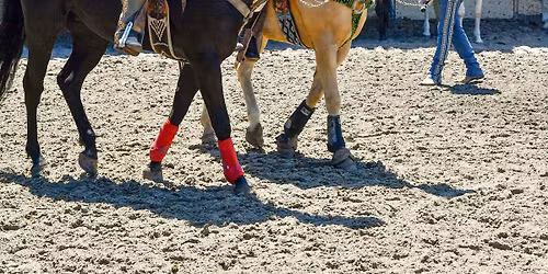 A Day in Old Mexico: Day 2 