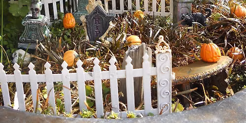 FAIRY GARDEN: Whimsical Halloween!