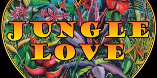 JUNGLE LOVE (LIVE BAND)