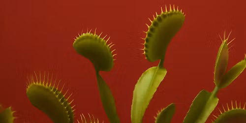 Mariana Volker in Rio De Janeiro