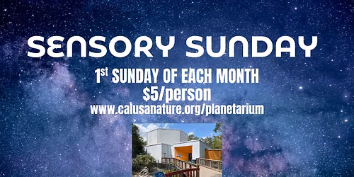 Sensory Sunday