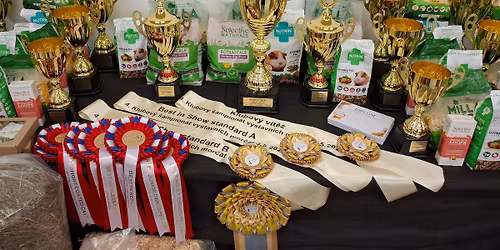 5. Klubov\u00fd \u0161ampion\u00e1t v\u00fdstavn\u00edch mor\u010dat