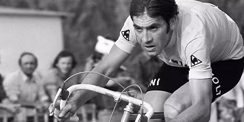 Fredericia:Dox - Merckx - Race of a Champion 