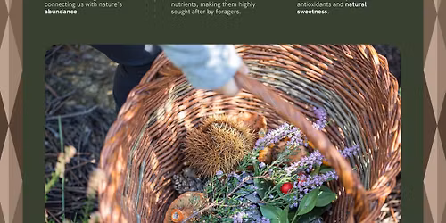 Andover Foraging group