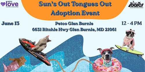 Sun\u2019s Out Tongues Out Adoption Event