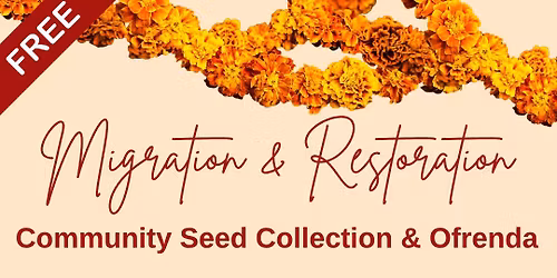 Migration & Restoration Community Seed Collection & Ofrenda