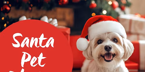 Santa Pet Photos