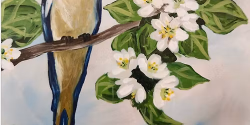 NEW! \u201cReturn Of The Swallow!\u201d On Wheels At Costa De Oro Winery In Santa Maria! 