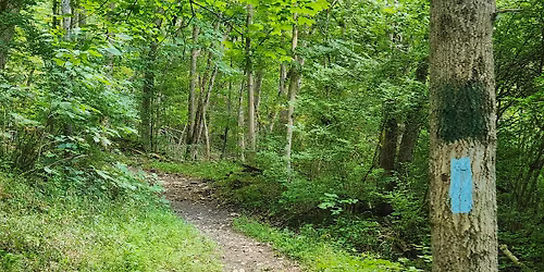 Ohio River Chapter Hike - Williamsburg  pt16.5  to pt14