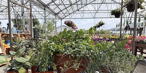 Culinary Herb Planter Class