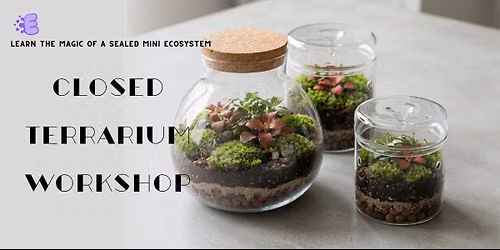 Closed Terrarium Making
