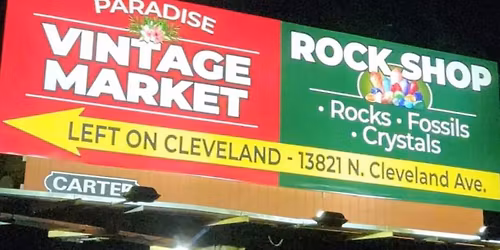 Outdoor Market in the Parking Lot