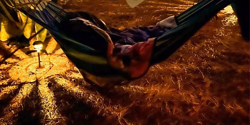 11\/7 Forest Reset: A Reiki & Sound Bath Immersion in Pine Forest Hammocks 