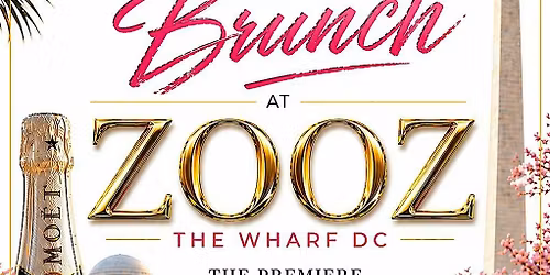 Elevated Vibes Brunch at ZOOZ DC! (the Wharf DC)