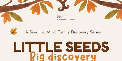 Little seeds, Big discovery