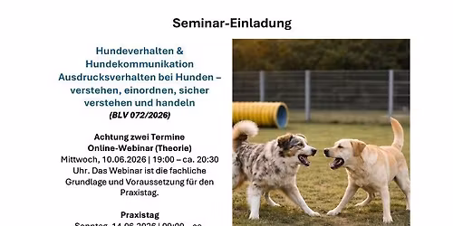 Hundeverhalten & Hundekommunikation \u2013 Ausdrucksverhalten verstehen, einordnen und sicher handeln