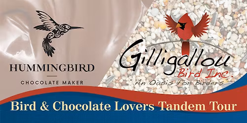 Hummingbird Chocolate + Gilligallou Bird Inc Tandem Tour