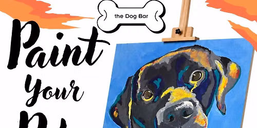 Paint Your Pet at Dog Bar Sarasota
