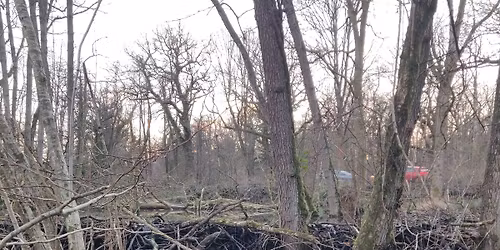 Beaver Walk