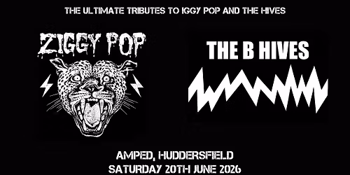 Ziggy Pop and The B Hives Live @ Amped, Huddersfield