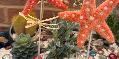 Needlefelting with Sue Lewis - Summer Starfish