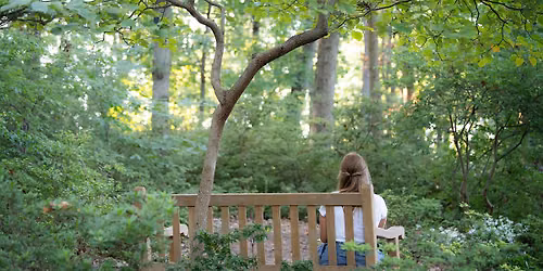 Restorative Nature Writing: Wisdom of Trees
