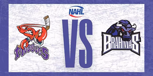 Shreveport Mudbugs vs. Lone Star Brahmas